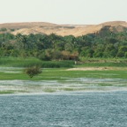 Nil zwischen Assuan und Luxor
