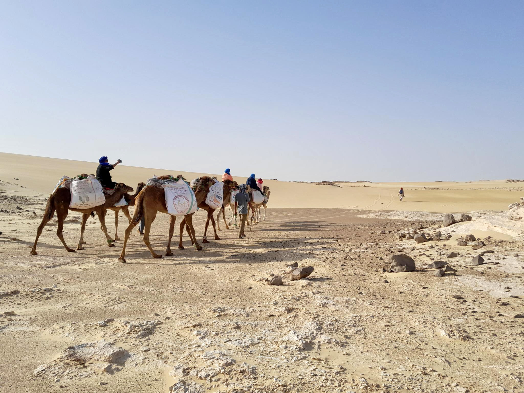 Trekking with camels and/or on foot
